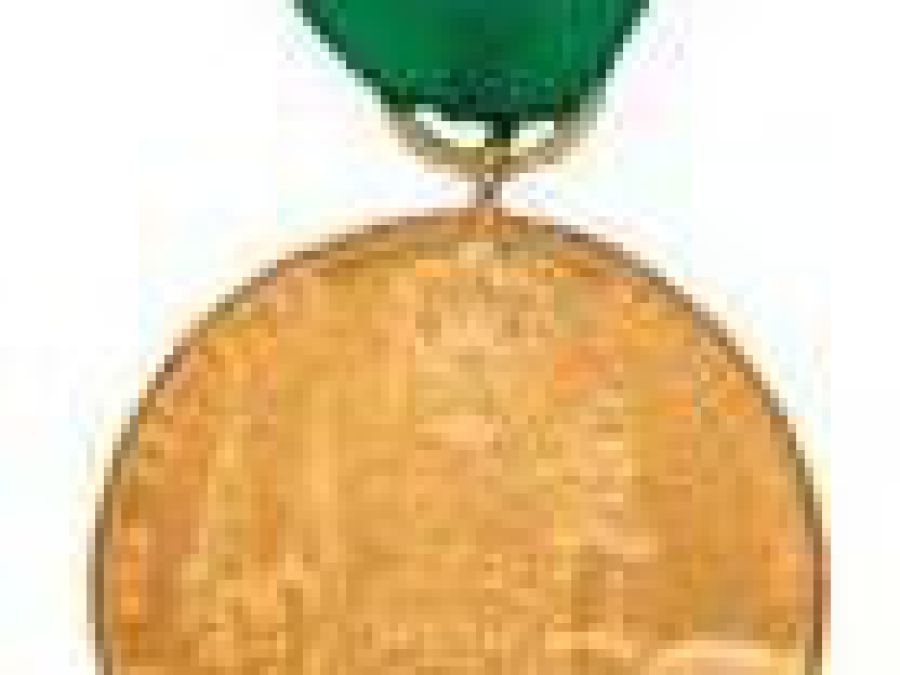 DSB 200004 Goldmedalle Gruen